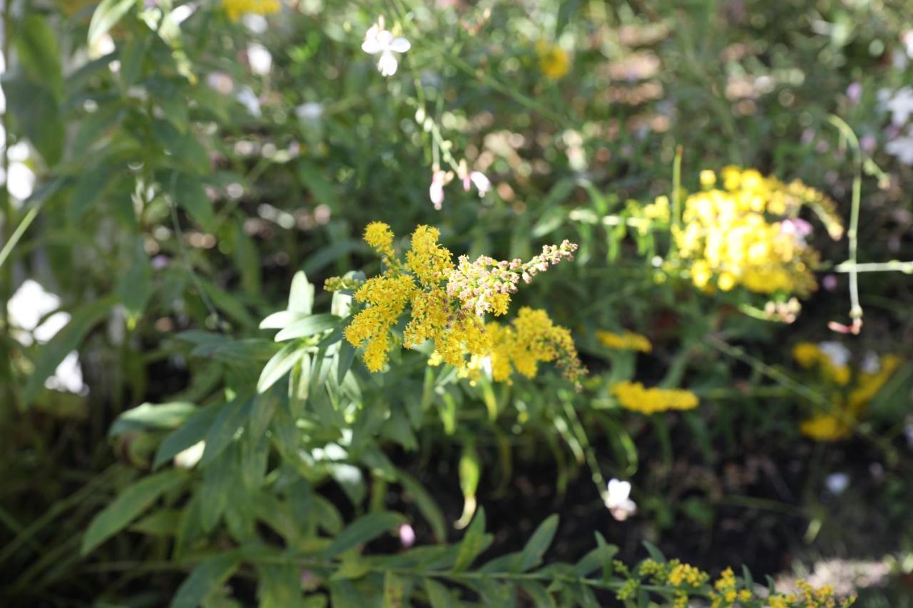 An English Garden Dennisport Exterior photo